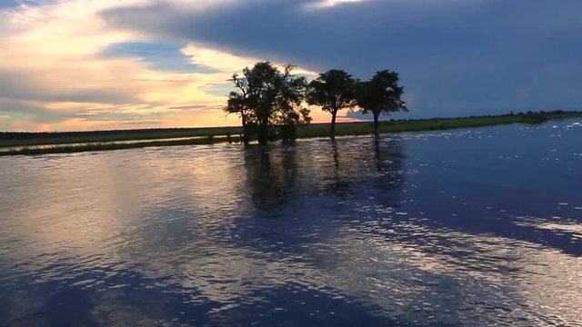 60 fps - Footage of the Landscape of the river Chobe in Botswana during sundawn