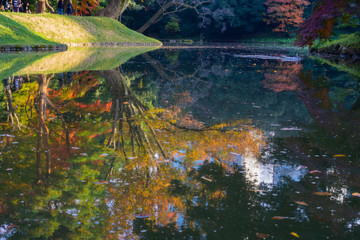 Fototapeta na wymiar Colorful autumn leaves in Japanese garden with reflection on water