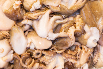 Landscape of fresh caught and cleaned octopus