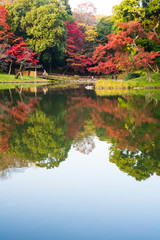 Colorful autumn leaves in Japanese garden with reflection on water