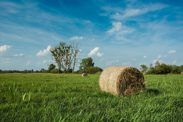 Round one hay bale on green meadow and clouds in the sky