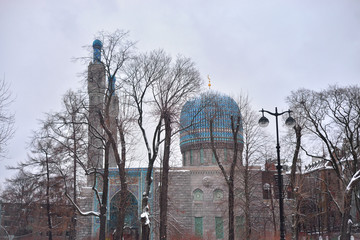 Saint Petersburg Mosque.
