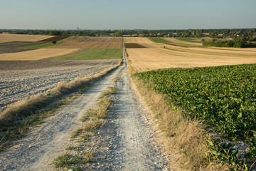 Fototapeta na wymiar A very long straight road through fields, horizon and sky