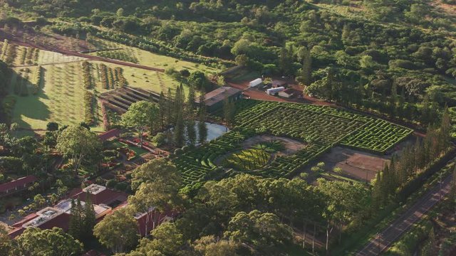 Oahu, Hawaii circa-2018.  Aerial view of Dole Plantation and maze.  Shot with Cineflex and RED Epic-W Helium. 