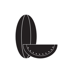 Melon icon. Element of Fruit for mobile concept and web apps icon. Glyph, flat icon for website design and development, app development