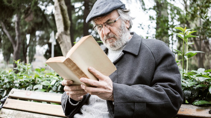 Fototapeta premium Old man reading book in the park