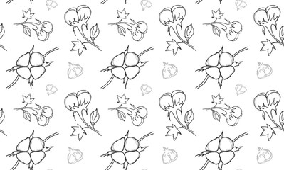 Cotton plant . Vector seamless pattern. 