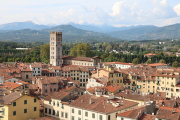 Fototapeta premium Lucca Moments 