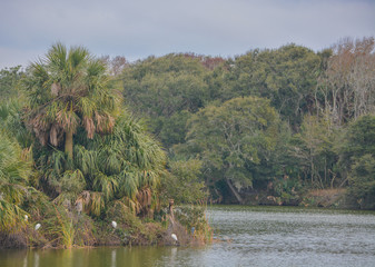 Shoreline at Kathryn Abbey Hanna Park, Duval County, Jacksonville, Florida.