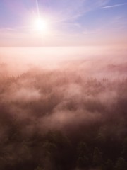 Autumnal aerial landscape with fog over land