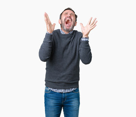 Fototapeta premium Handsome middle age senior man wearing a sweater over isolated background celebrating mad and crazy for success with arms raised and closed eyes screaming excited. Winner concept