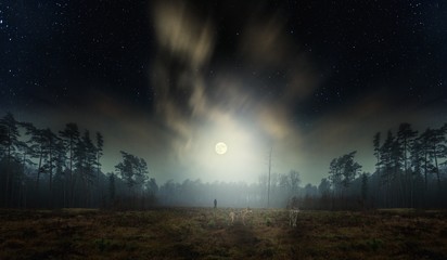Dreamy surreal landscape with starry night sky and man silhouette.