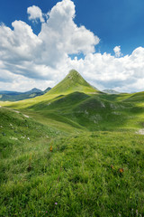 Iceland landscape spring panorama,amazing nature  