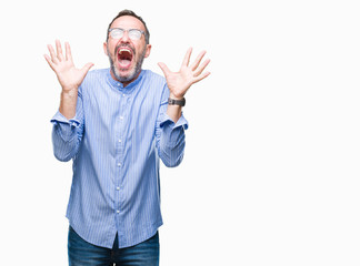 Middle age hoary senior man wearing glasses over isolated background celebrating mad and crazy for success with arms raised and closed eyes screaming excited. Winner concept