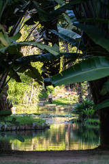 Fototapeta na wymiar Botanical Garden of Rio de Janeiro Brazil