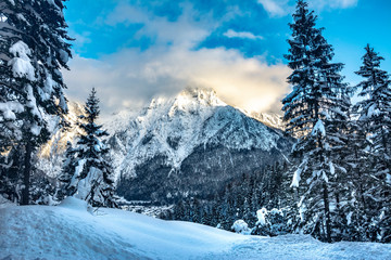 Fototapeta na wymiar berglandschaft im winter