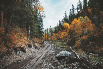 Amazing wide-angle view of dirt road stretching into the distance in the mountain forest surrounded by stones, yellowed birches, firs, pines and other trees of an autumn wood, Altai mountains, Russia
