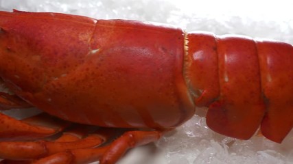 Lobster on ice