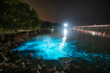 Bioluminescent Plankton Light Up the Sea, The Mesmerising Phenomenon making the Sea Glows Bright Blue at Sapan Daeng (Red Bridge) at Mutchanu Shrine, Samut Sakhon Province, Thailand.