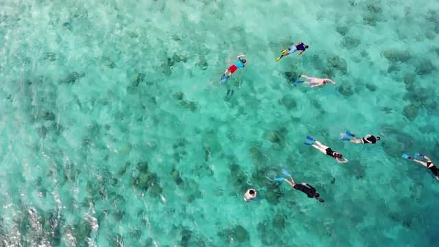 Aerial of snorkelers on reef