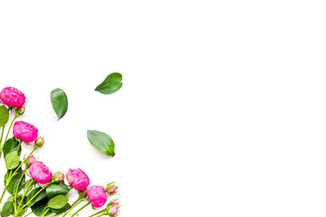 Rose flowers background. Rose roses on white background top view copy space border