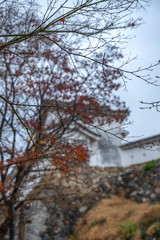 Closeup image of dewdrops on tree leaves and branch in autumn