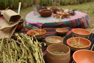 Plantas medicinales y semillas para intercambio sobre aguayo