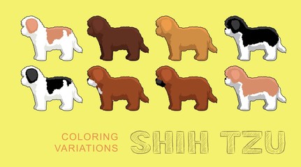 Dog Shih Tzu Coloring Variations Vector Illustration