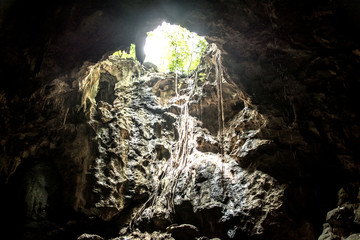 Cave cave 