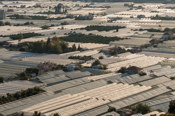 Obraz premium Endless greenhouses at sunset