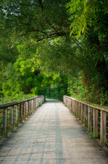Fototapeta premium Wooden Boardwalk at Cuyahoga Valley National Park
