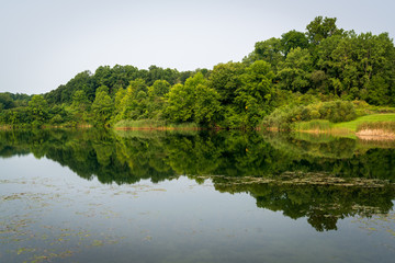 Fototapeta premium Thick Woods at Cuyahoga Valley National Park