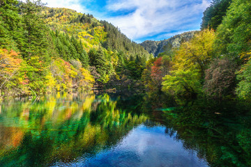 Fototapeta na wymiar colorful scenery of the lake and forest at Jiuzhaigou national park, world heritage site located in Sichuan Province China