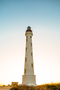 California Lighthouse In Aruba