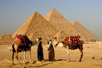 pyramids giza cairo in egypt with bedouins and camel in foreground - obrazy, fototapety, plakaty