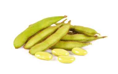 soybean isolated on white background