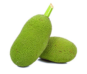 young fruit jackfruit on white background
