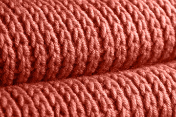 Foliage with the main trendy living coral color of the year 2019.