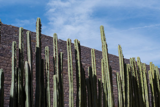 Centro de las Artes de San Luis Potosi Centenario