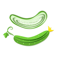 Set of paper cut green cucumber. Vector paper craft design in the form of ripe cucumber whole and slice. Vector illustration. Paper applique art style vegetable. Origami concept.