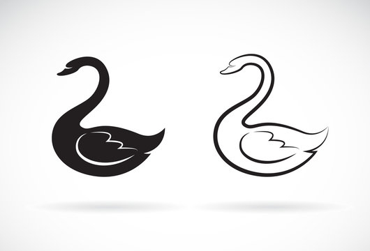 Vector of swan design on a white background. Animal. Easy editable layered vector illustration.