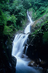 The waterfall in the Tanzawa and Ogawa Valley - 丹沢・小川谷廊下の大滝