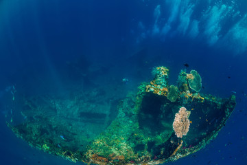 Fototapeta na wymiar Beautiful underwater view with bubbles and corals at shipwreck