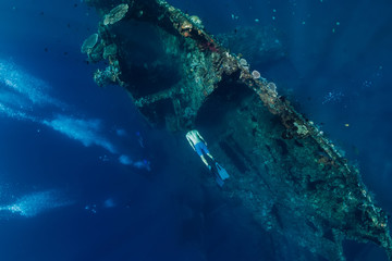 Free diver man dive at shipwreck, underwater