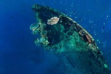 Freediver man dive in shipwreck, underwater