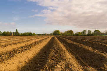 Open farmland in Doetinchem, Holland/ Netherlands.