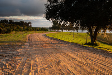 Fototapeta premium road in the countryside