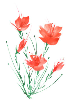 Watercolor painting. A bouquet of flowers of red poppies, wildflowers on a white isolated background. Hand drawn watercolor floral illustration, logo. Abstract splash of watercolor paint