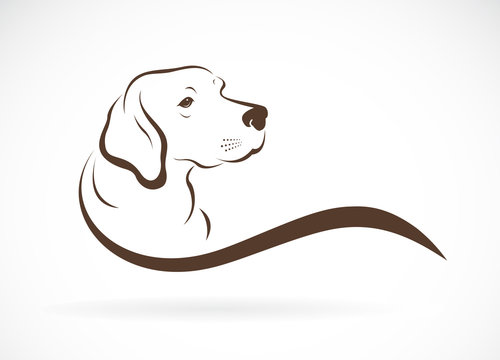 Vector of dog head(labrador) on white background., Pet. Animals. Easy editable layered vector illustration.