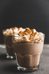 Hot Chocolate drink with marshmallow and cinnamon in old-fashioned glass. Selective focus.